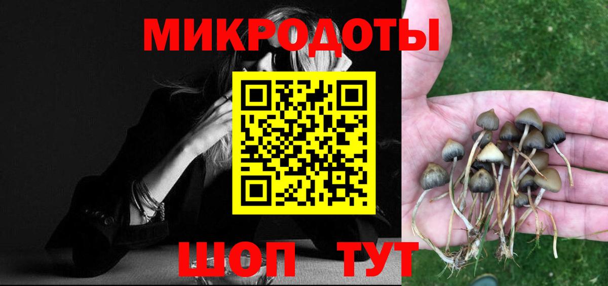 Балтийск  Галлюциногенные грибы прущие грибы  Вход с VPN 